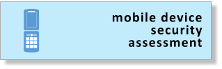 mobile device security assessment