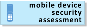 mobile device security assessment