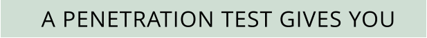 A PENETRATION TEST GIVES YOU