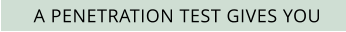 A PENETRATION TEST GIVES YOU