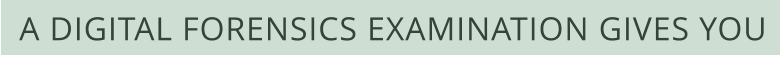A DIGITAL FORENSICS EXAMINATION GIVES YOU