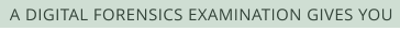 A DIGITAL FORENSICS EXAMINATION GIVES YOU